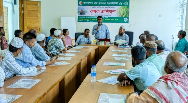 ব্রি’র আধুনিক ধান উৎপাদন ও প্রযুক্তি বিষয়ক কৃষক প্রশিক্ষণ